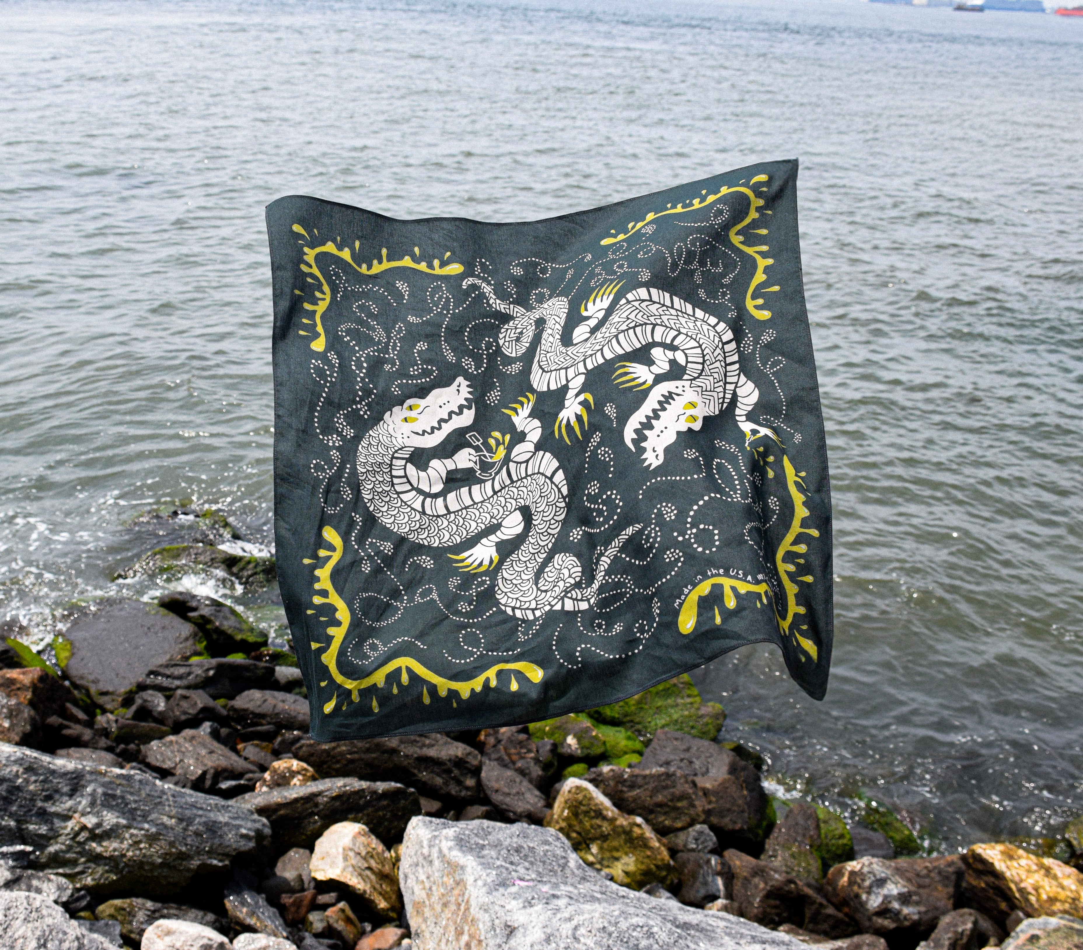 Hidden Message Bandana