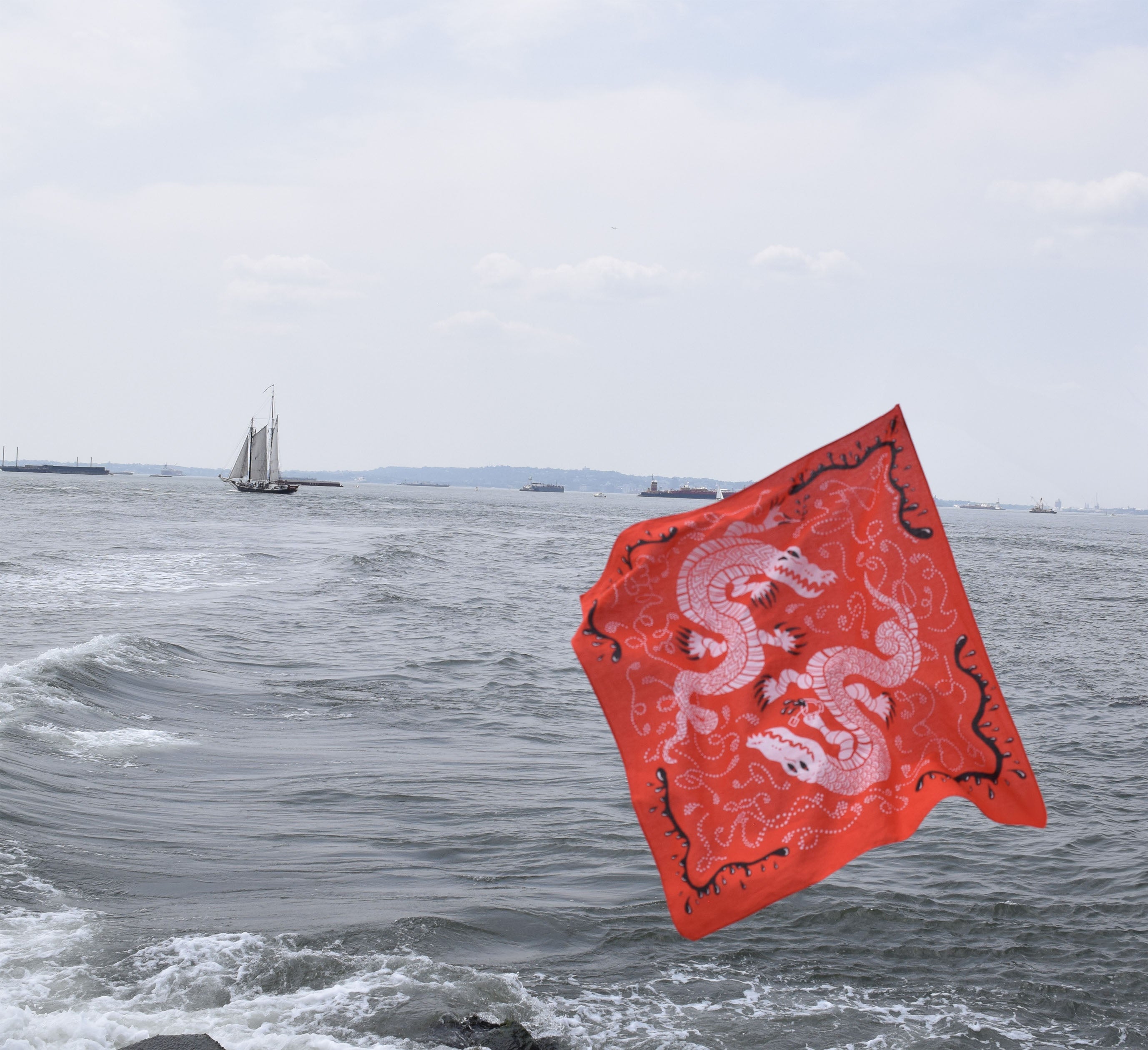 Hidden Message Bandana - Cardinal